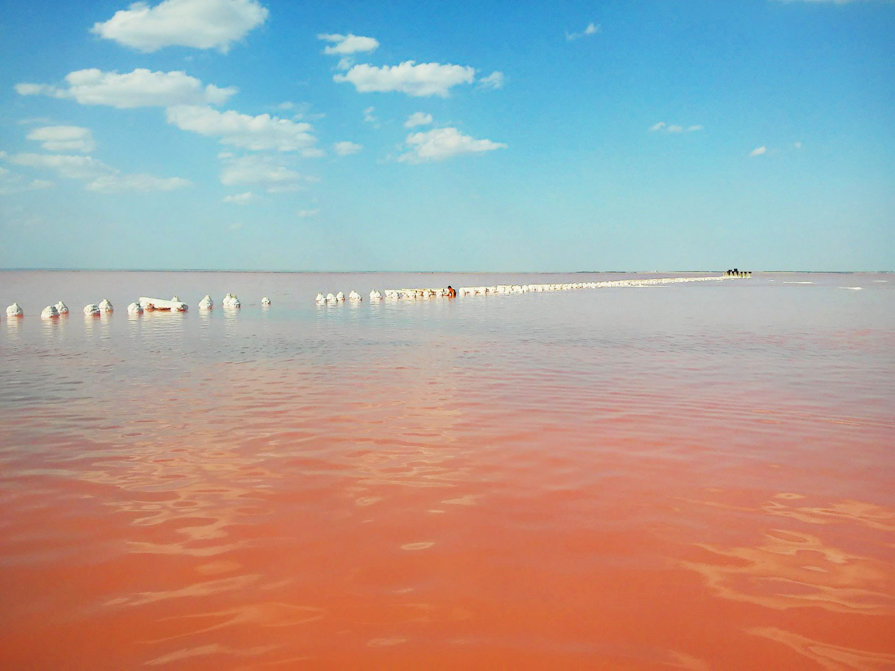 Что посмотреть рядом – розовое озеро Сасык-Сиваш фото