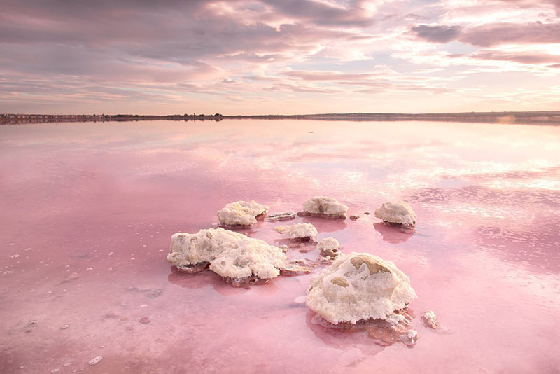 Где лучше отдохнуть в Евпатории и окрестностях – розовое озеро