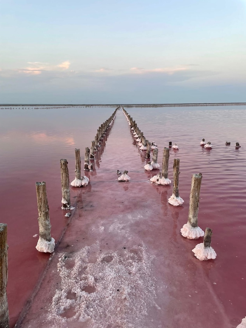 Что посмотреть рядом с Евпаторией – розовое озеро фото